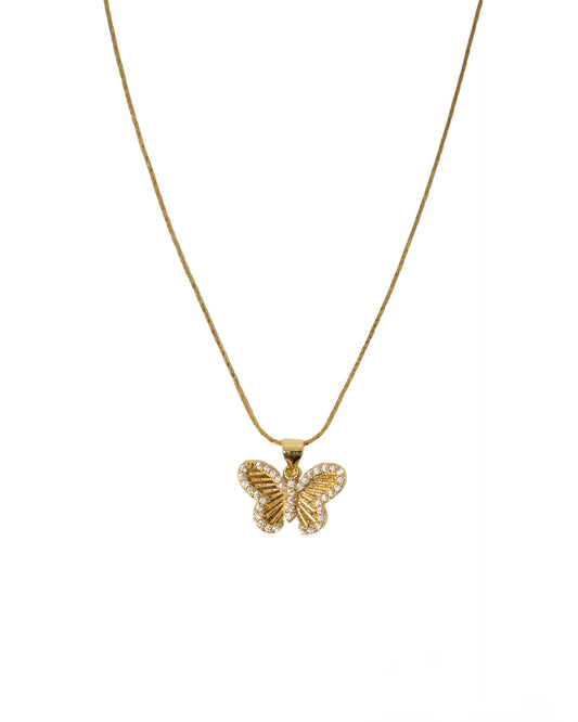 Collar mariposa, contorno con zirconia